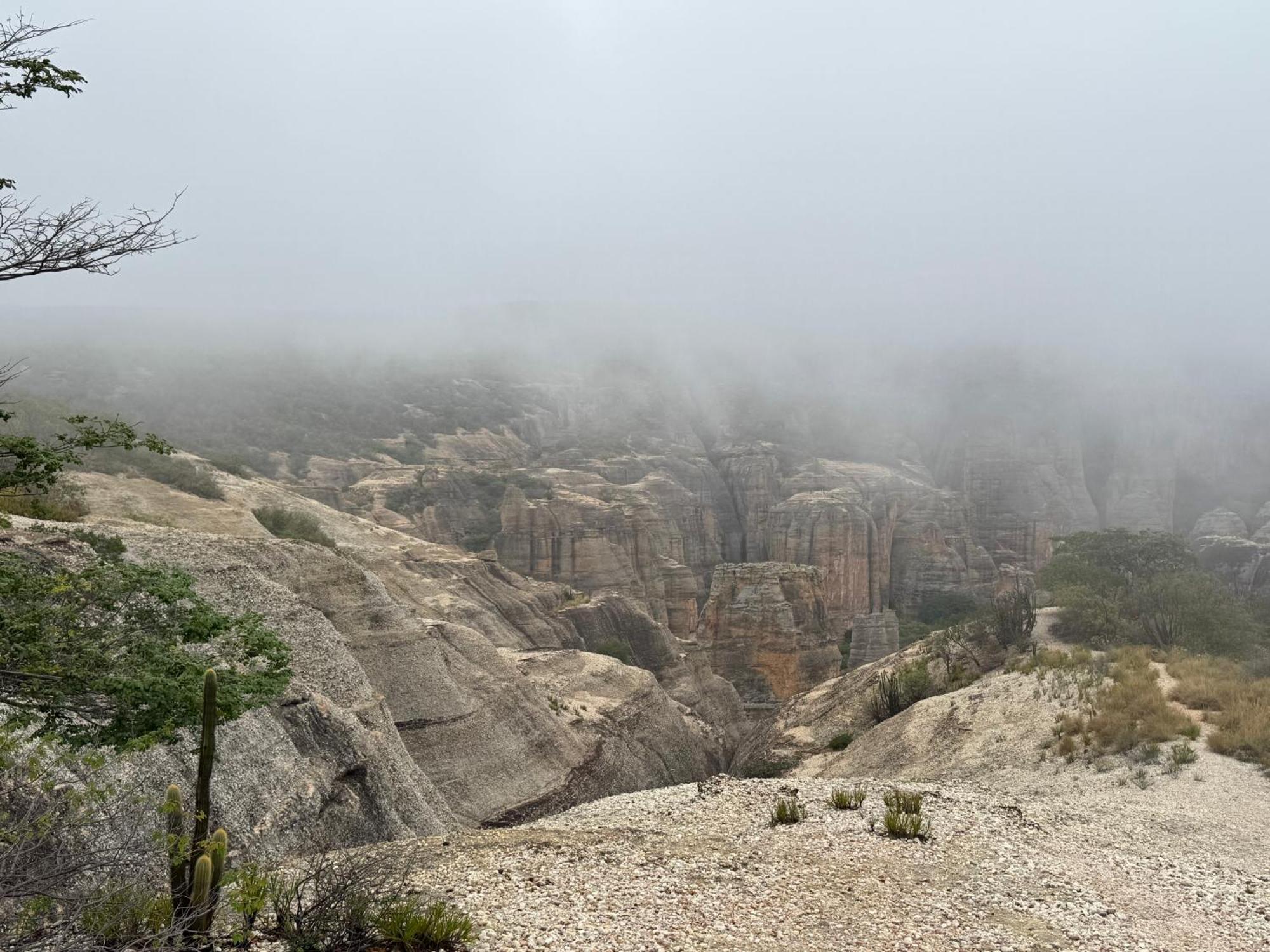 Casa Barreirinho Parque Nacional Serra Da Capivara Coronel Jose Dias Kültér fotó