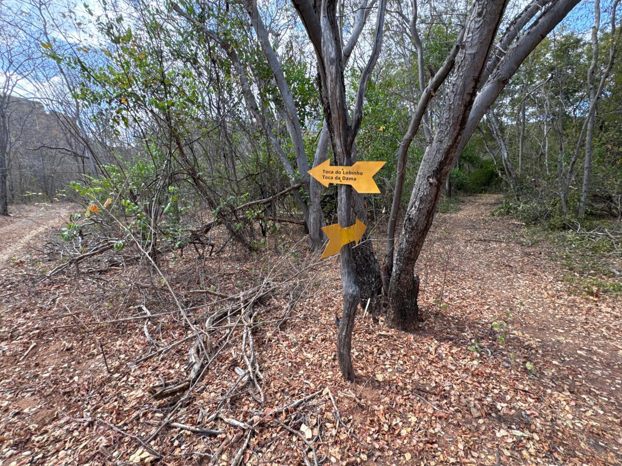 Casa Barreirinho Parque Nacional Serra Da Capivara Coronel Jose Dias Kültér fotó