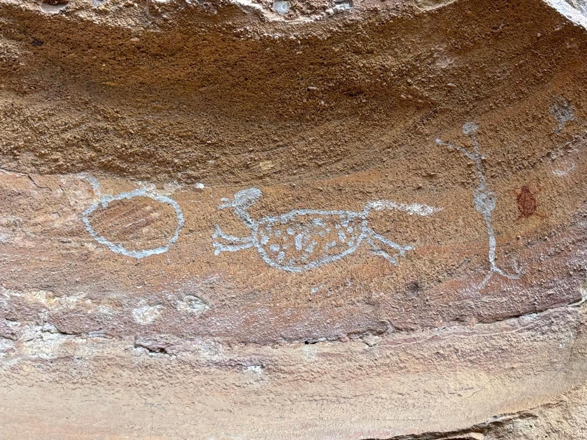 Casa Barreirinho Parque Nacional Serra Da Capivara Coronel Jose Dias Kültér fotó